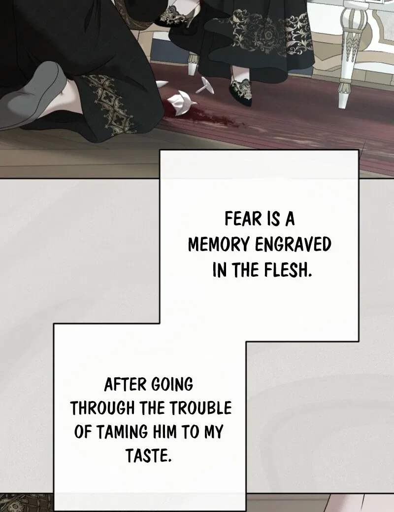 It Looks Like I’Ve Fallen Into The World Of A Reverse Harem Game Chapter 157 – Page 122