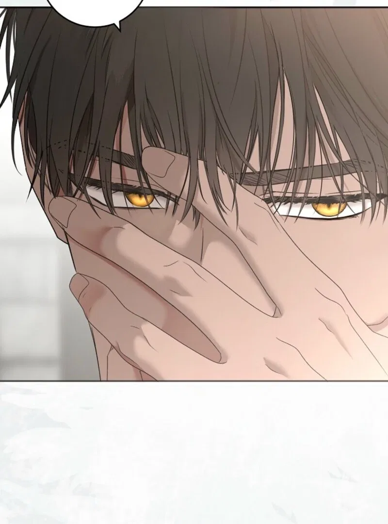 It Looks Like I’Ve Fallen Into The World Of A Reverse Harem Game Chapter 157 – Page 132