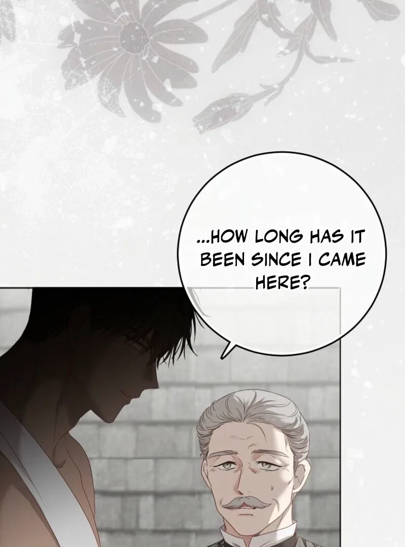 It Looks Like I’Ve Fallen Into The World Of A Reverse Harem Game Chapter 157 – Page 141