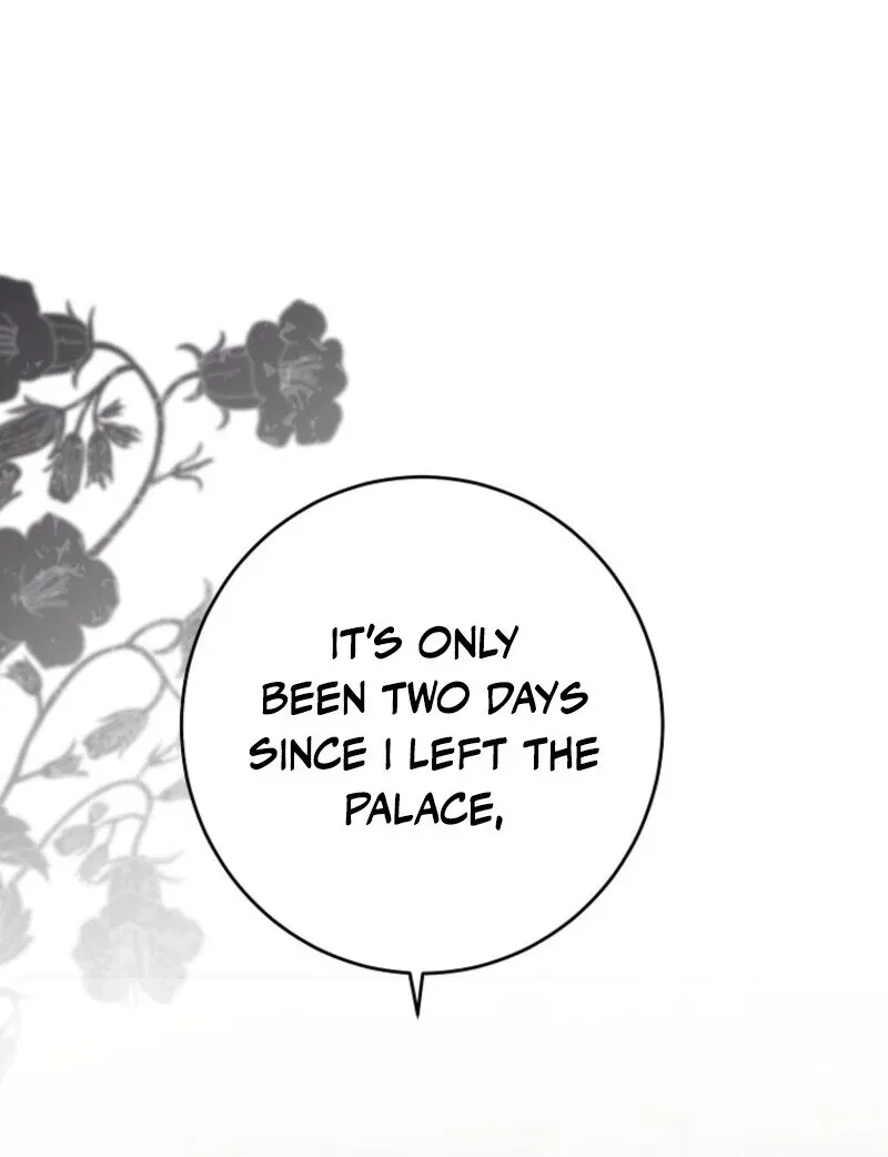 It Looks Like I’Ve Fallen Into The World Of A Reverse Harem Game Chapter 156 – Page 33
