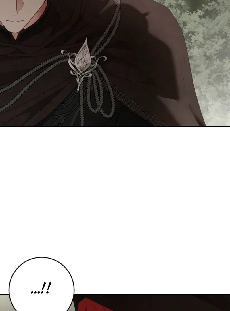 It Looks Like I’Ve Fallen Into The World Of A Reverse Harem Game Chapter 156 – Page 81