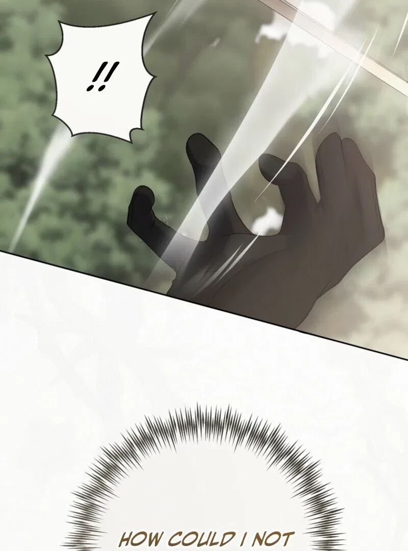 It Looks Like I’Ve Fallen Into The World Of A Reverse Harem Game Chapter 156 – Page 114