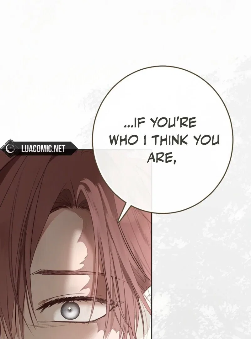 It Looks Like I’Ve Fallen Into The World Of A Reverse Harem Game Chapter 156 – Page 119