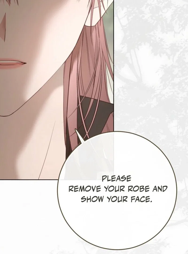 It Looks Like I’Ve Fallen Into The World Of A Reverse Harem Game Chapter 156 – Page 120
