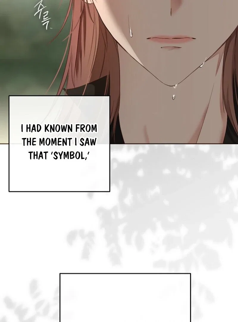 It Looks Like I’Ve Fallen Into The World Of A Reverse Harem Game Chapter 156 – Page 125