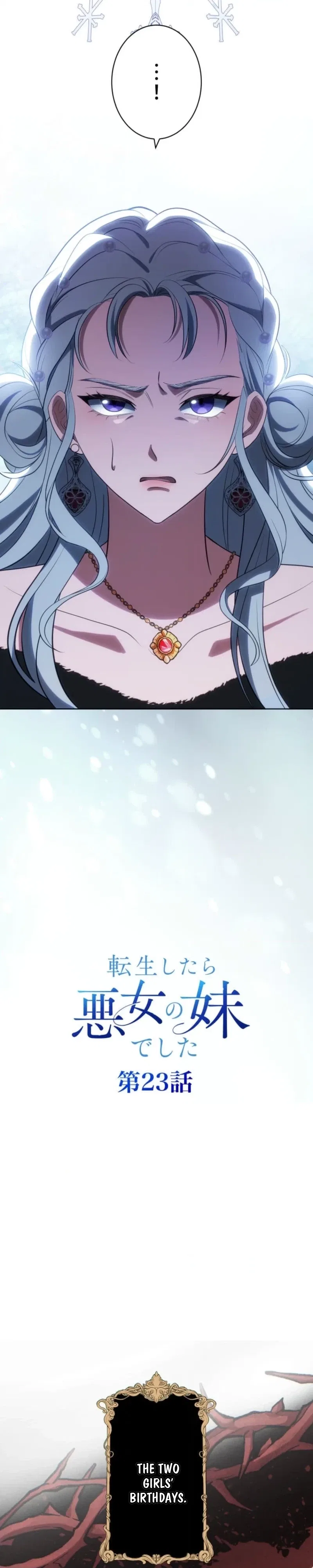 I Was Reincarnated as the Villainess’s Sister Chapter 23 – Page 3