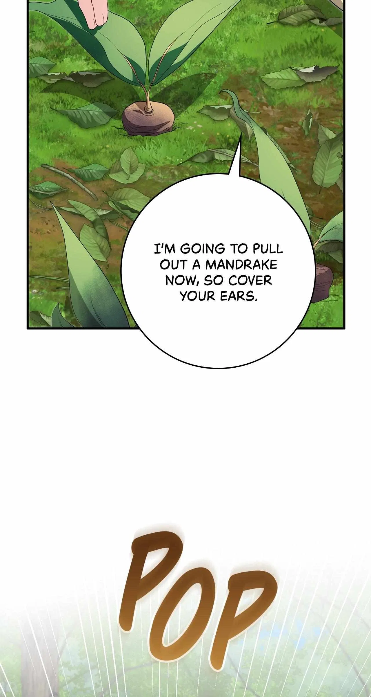The Beloved Gardener of the World Tree Chapter 36 – Page 58