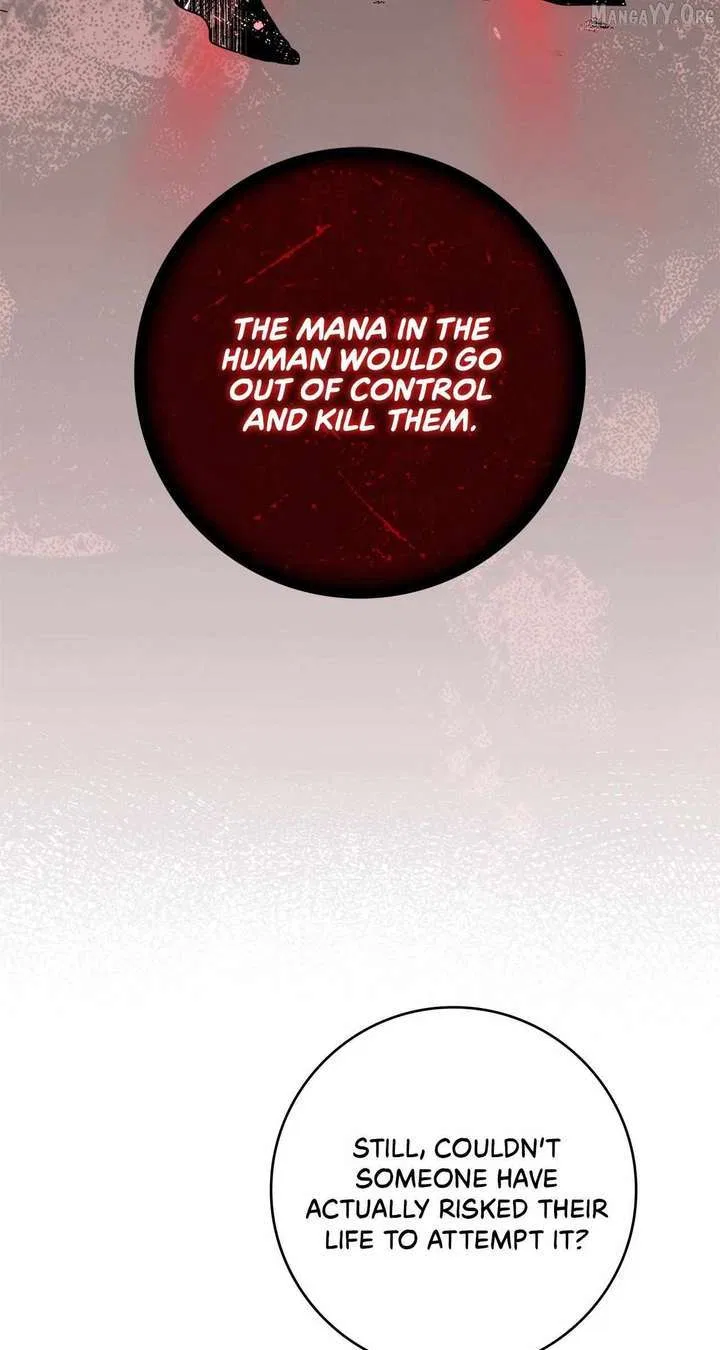 The Beloved Gardener of the World Tree Chapter 29 – Page 25