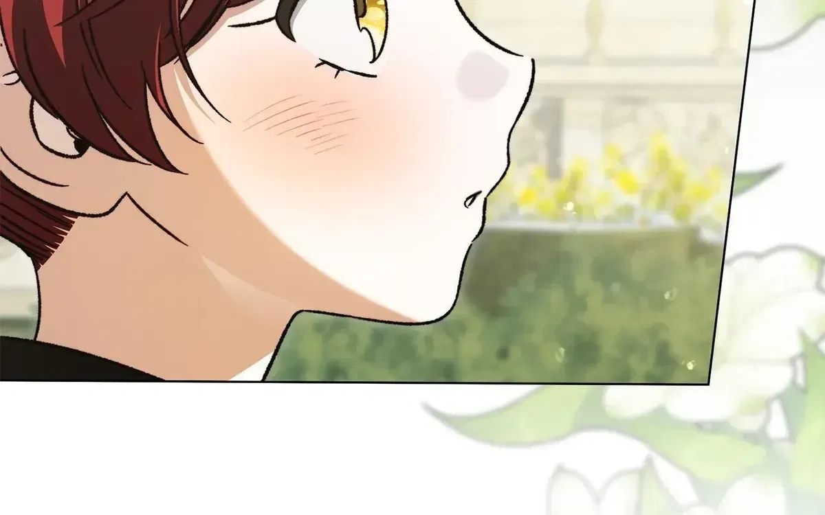 All for My Dearest Juliet Chapter 88 – Page 65