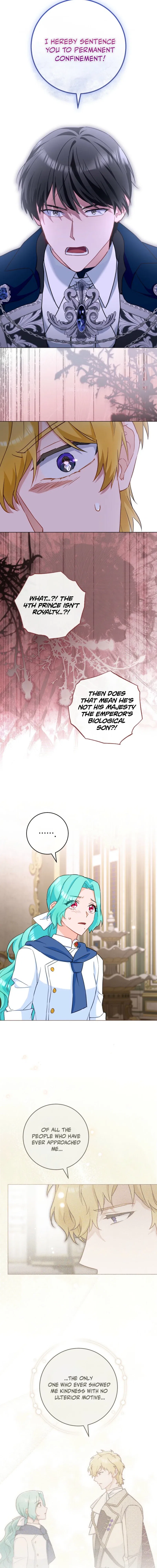 Royal Shop of Young Lady Chapter 213 – Page 13
