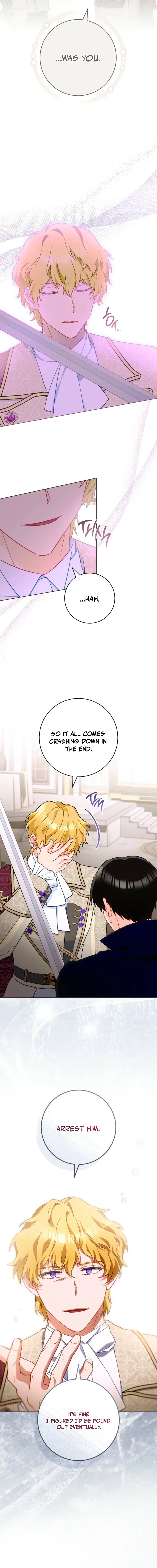 Royal Shop of Young Lady Chapter 213 – Page 14