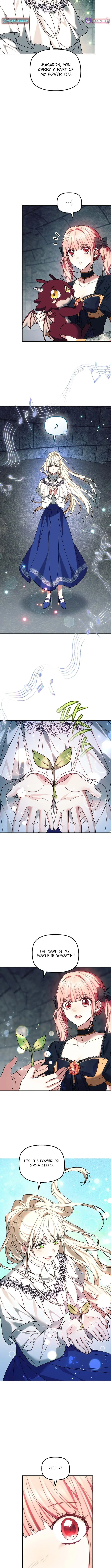 The Super-Strong Noble Lady Wants to Be Truly Weak Chapter 47 – Page 6