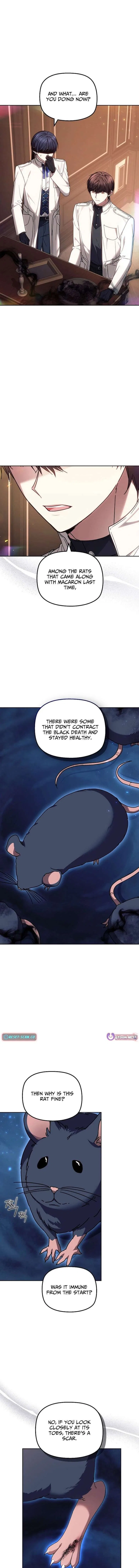 The Super-Strong Noble Lady Wants to Be Truly Weak Chapter 37 – Page 10