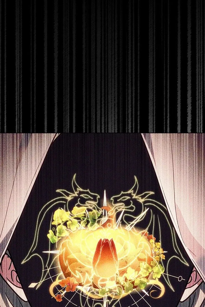 The Super-Strong Noble Lady Wants to Be Truly Weak Chapter 32 – Page 80