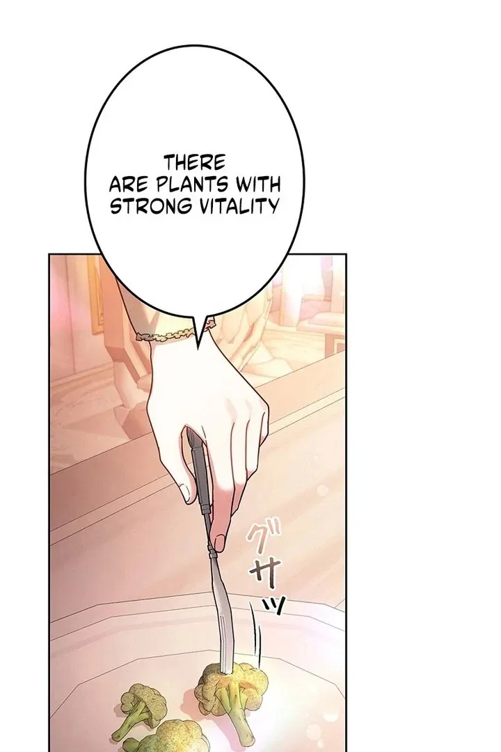 The Super-Strong Noble Lady Wants to Be Truly Weak Chapter 31 – Page 102