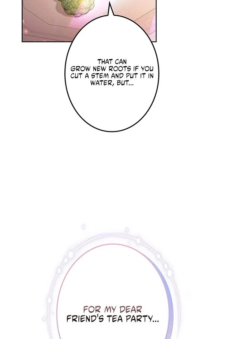 The Super-Strong Noble Lady Wants to Be Truly Weak Chapter 31 – Page 103