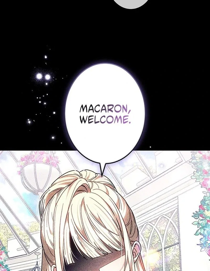The Super-Strong Noble Lady Wants to Be Truly Weak Chapter 27 – Page 74