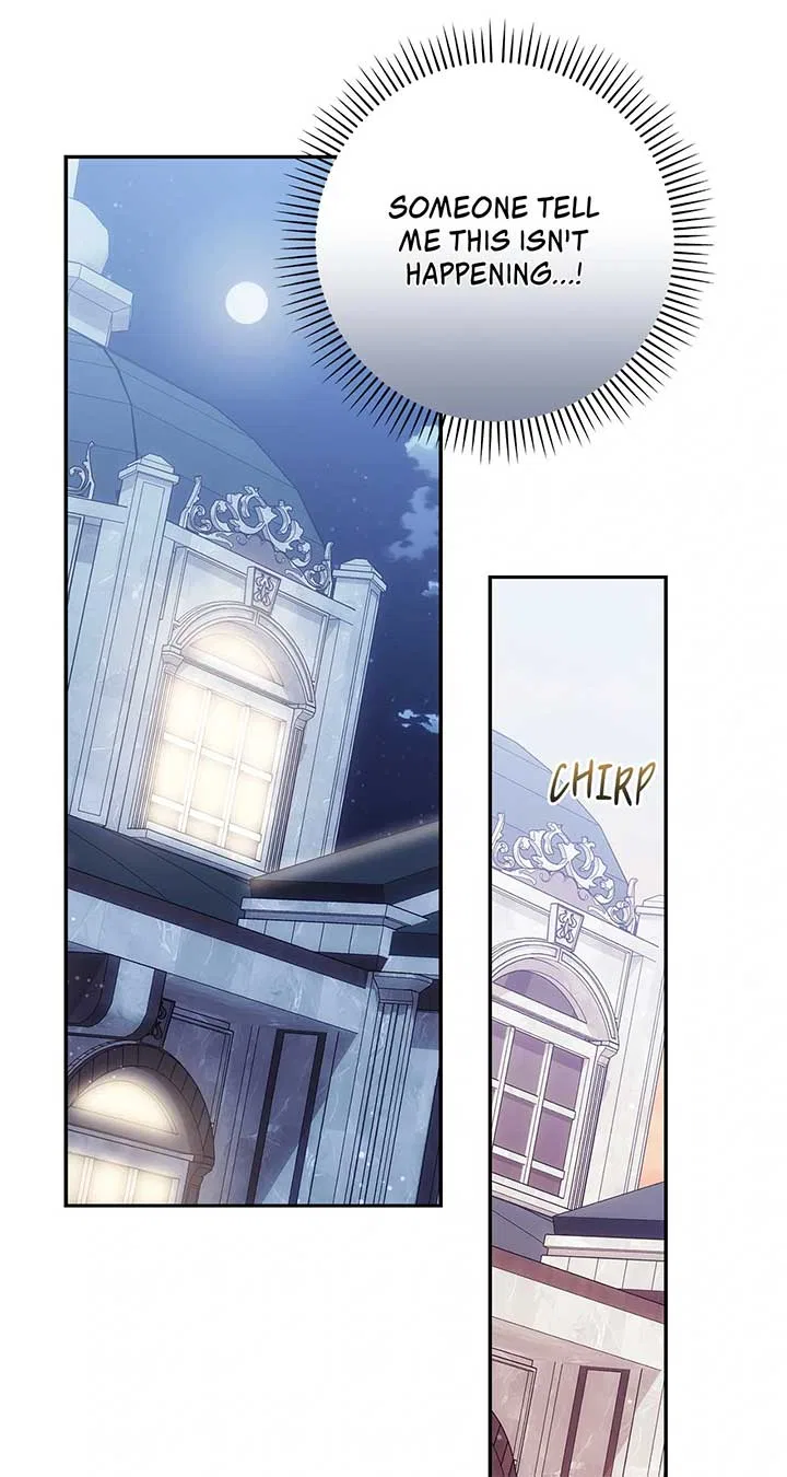 The Princess in The Henhouse Chapter 48 – Page 46