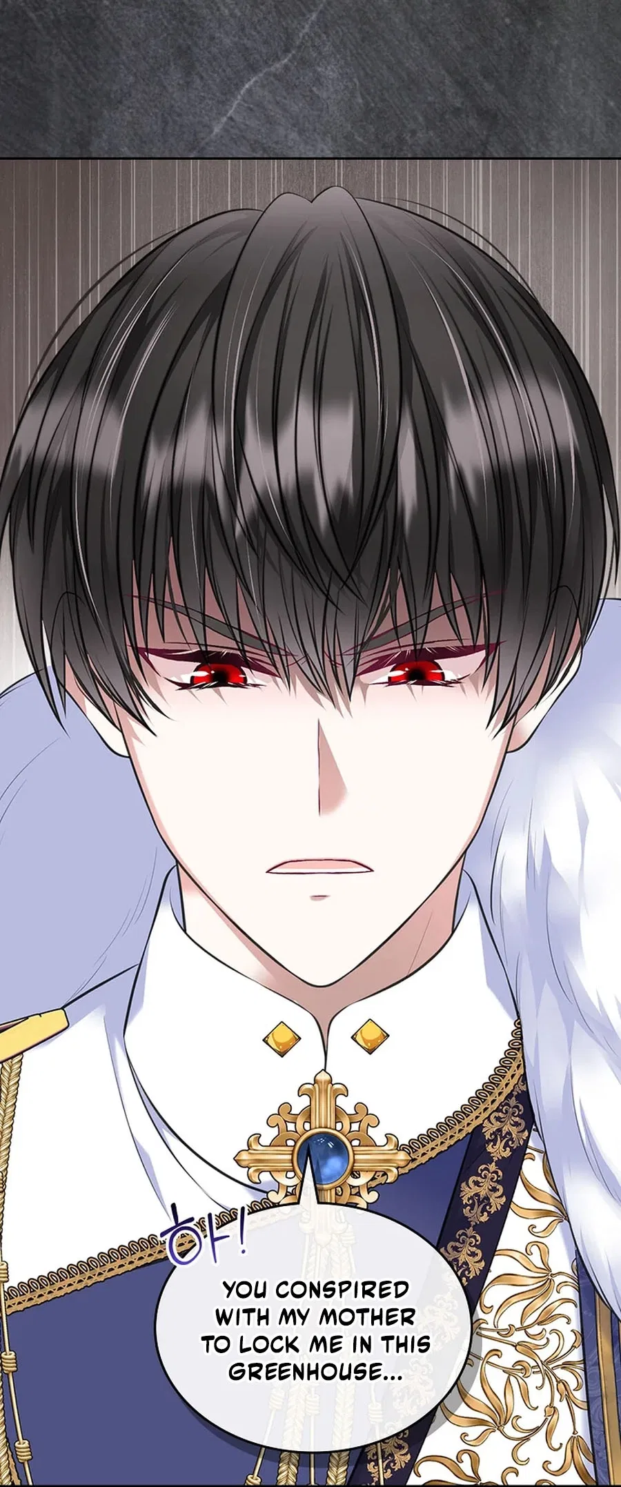 I Will Divorce the Female Lead’s Siscon Brother Chapter 103 – Page 9