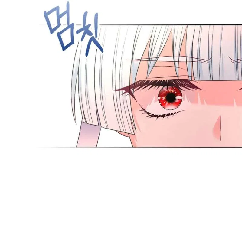 I Will Divorce the Female Lead’s Siscon Brother Chapter 94 – Page 63