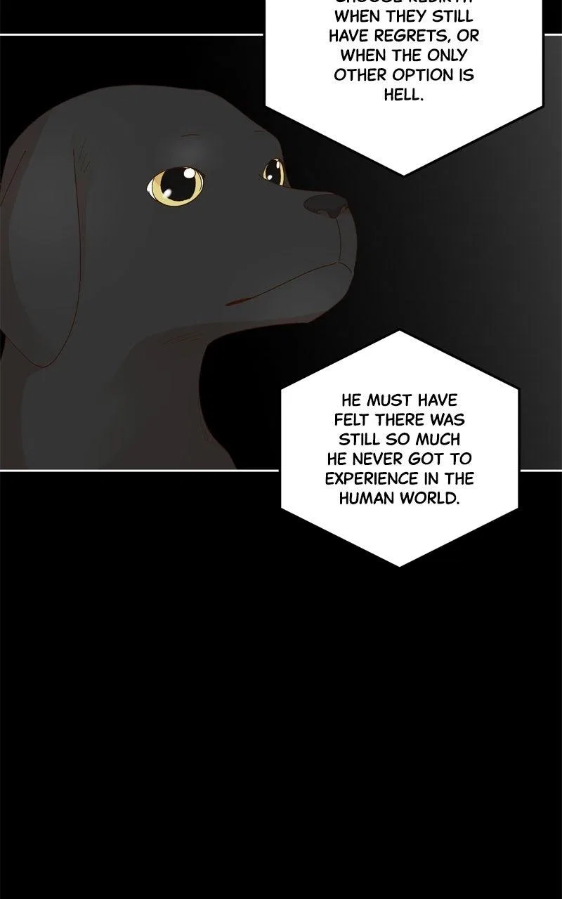 The Grim Reaper Is My Guardian Chapter 33 – Page 12