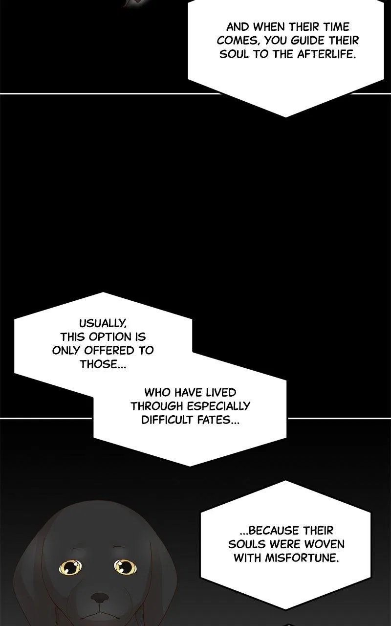 The Grim Reaper Is My Guardian Chapter 33 – Page 17