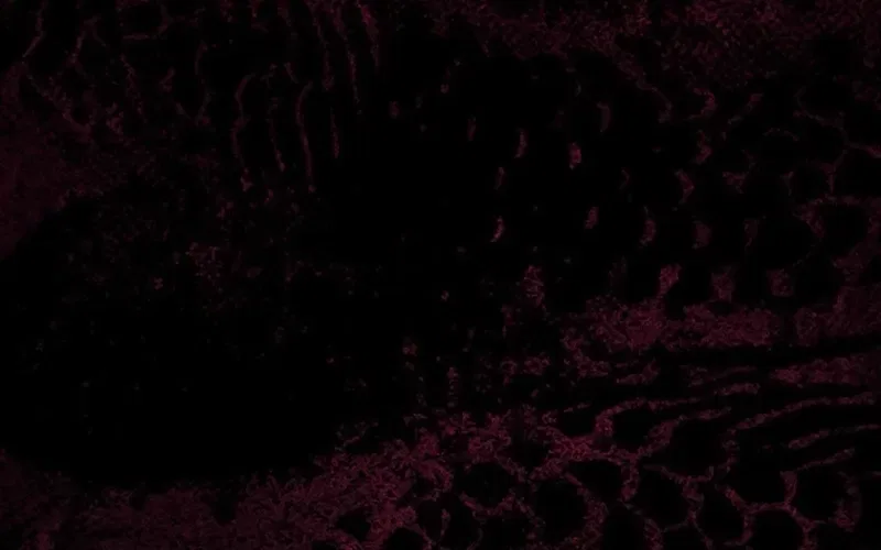 Abandoned, Yet Loved Beyond Measure Chapter 19 – Page 6