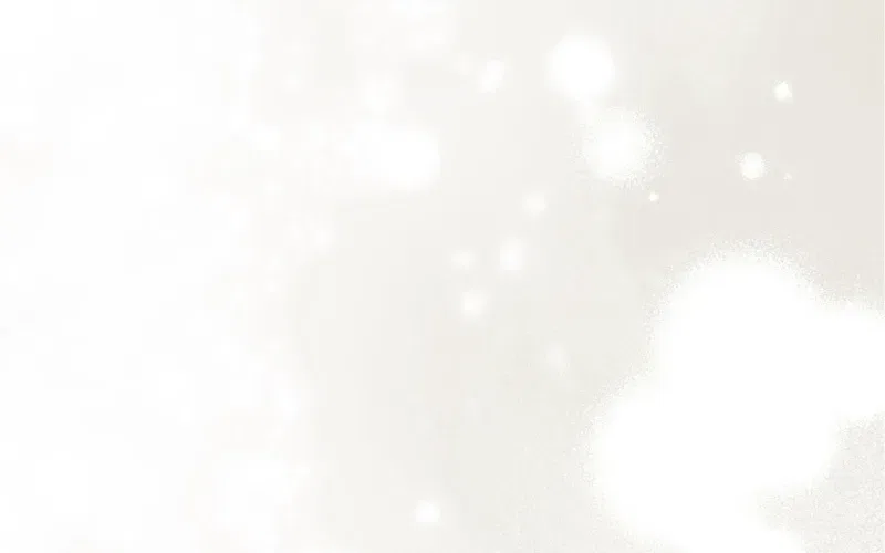 The Butterfly That Swallowed the Mist Chapter 30 – Page 49