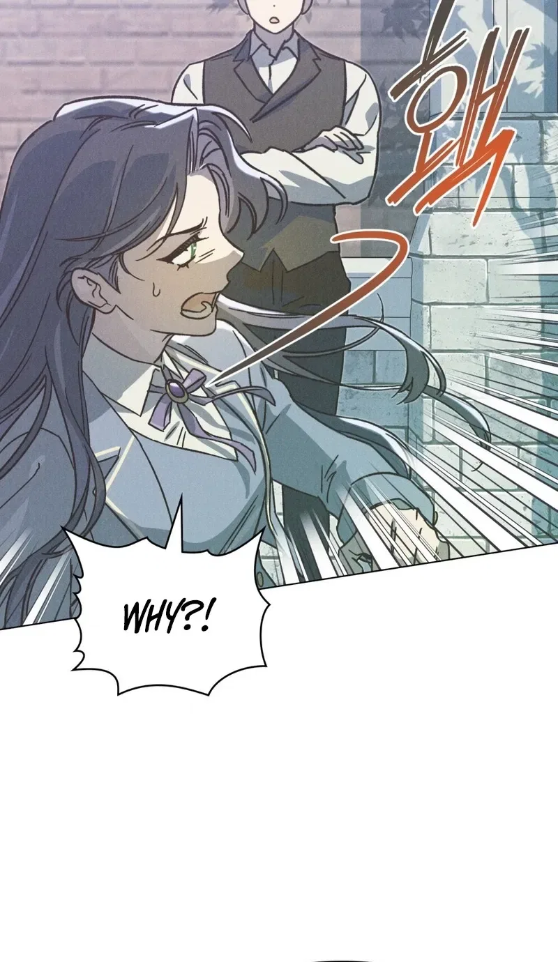 The Butterfly That Swallowed the Mist Chapter 27 – Page 20