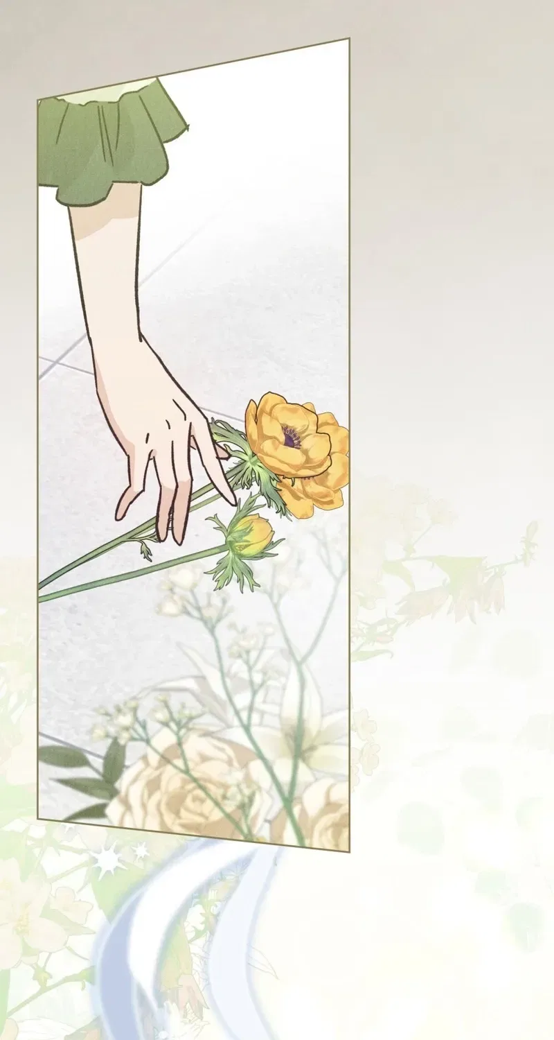 The Butterfly That Swallowed the Mist Chapter 27 – Page 32
