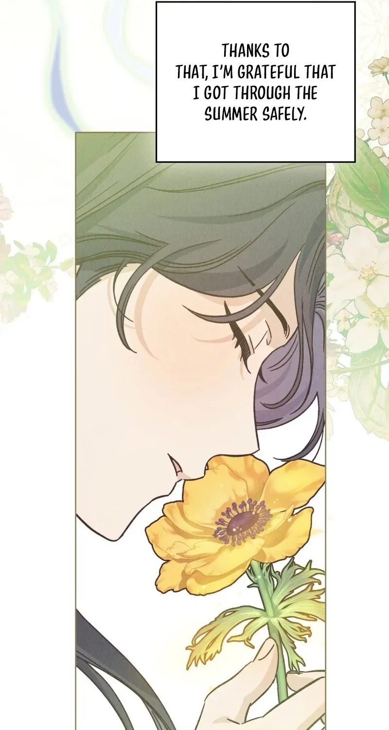 The Butterfly That Swallowed the Mist Chapter 27 – Page 35