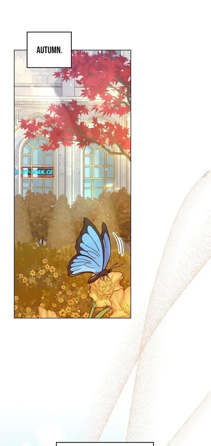 The Butterfly That Swallowed the Mist Chapter 25 – Page 2