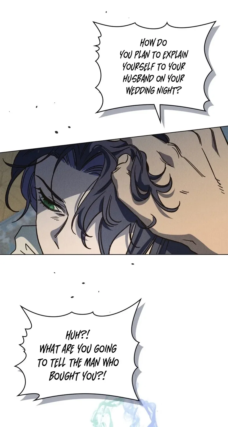 The Butterfly That Swallowed the Mist Chapter 23 – Page 5