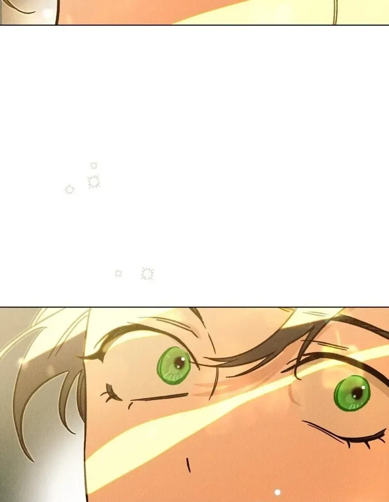 The Butterfly That Swallowed the Mist Chapter 20 – Page 98