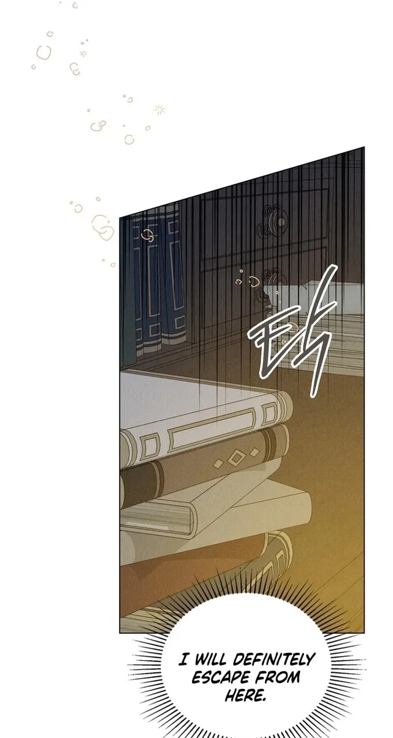 The Butterfly That Swallowed the Mist Chapter 15 – Page 31