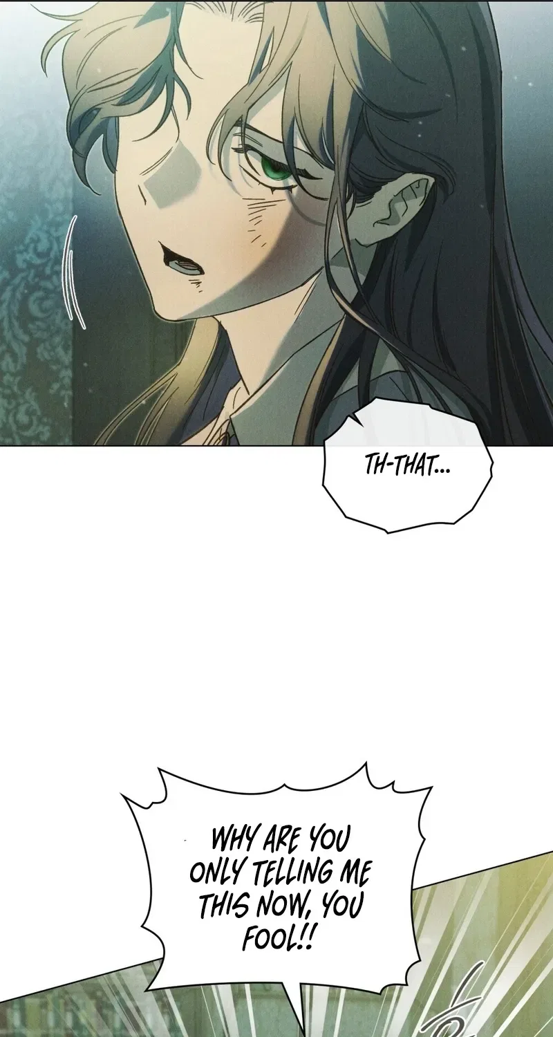 The Butterfly That Swallowed the Mist Chapter 13 – Page 21