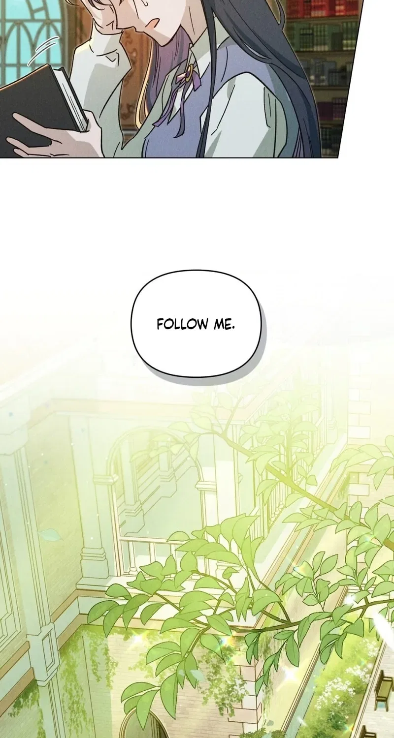 The Butterfly That Swallowed the Mist Chapter 12 – Page 13