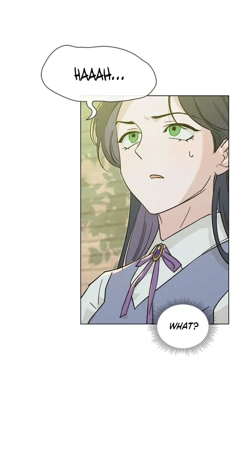 The Butterfly That Swallowed the Mist Chapter 12 – Page 27