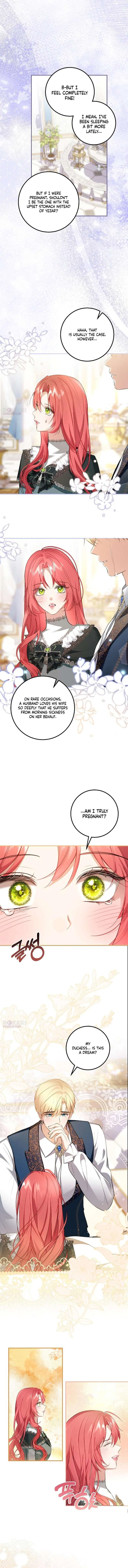 Sub-Male Lead, You Said It Was A Contract Marriage? Chapter 51 – Page 11