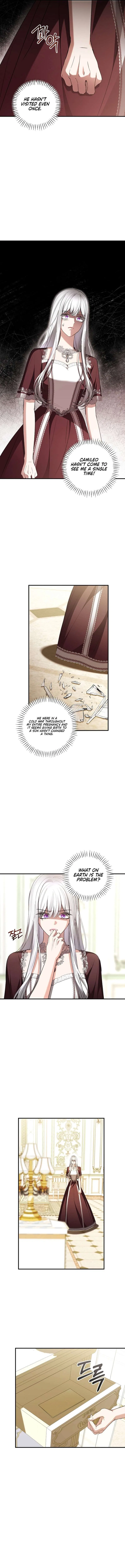 Sub-Male Lead, You Said It Was A Contract Marriage? Chapter 45 – Page 3