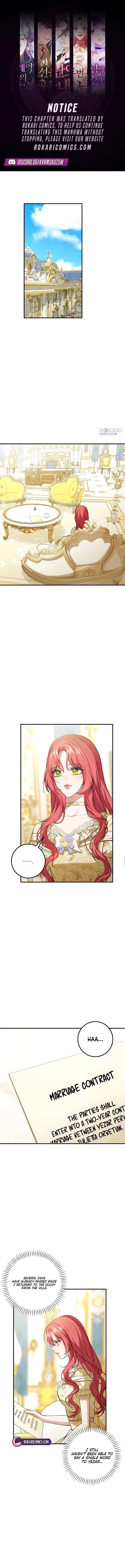 Sub-Male Lead, You Said It Was A Contract Marriage? Chapter 44 – Page 1