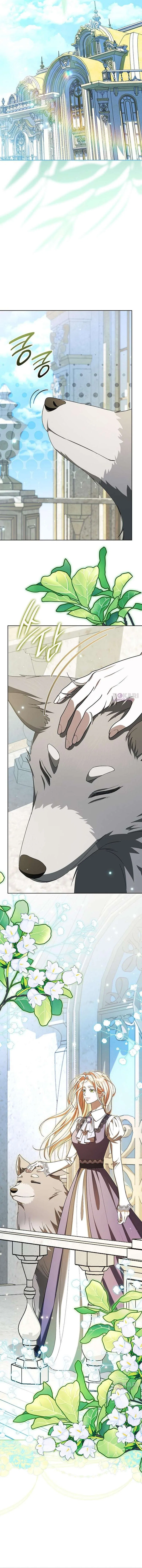 If You Want a Cheeky Sorceress Chapter 52 – Page 15