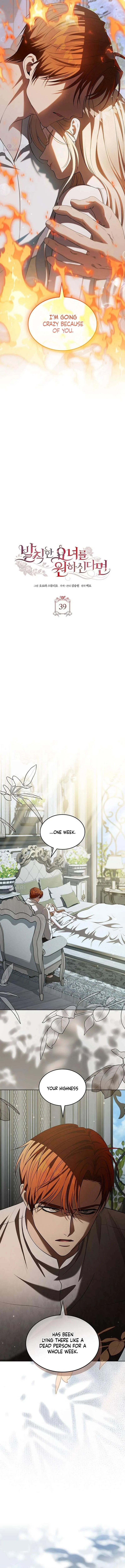 If You Want a Cheeky Sorceress Chapter 39 – Page 5