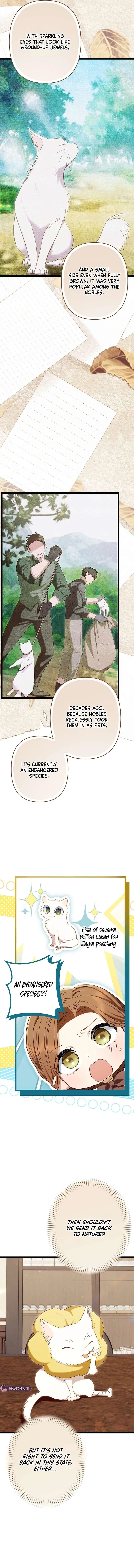 The Rebel’s Quack Doctor Chapter 26 – Page 3