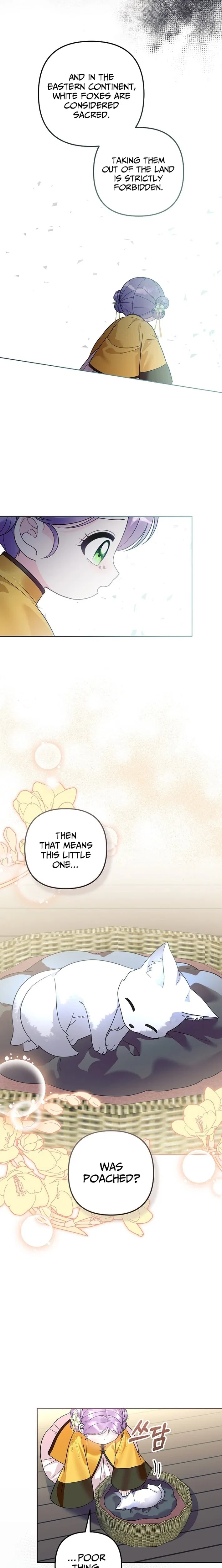The Terminally Ill Baby Healer Doesn’t Hide Her Genius Chapter 41 – Page 2