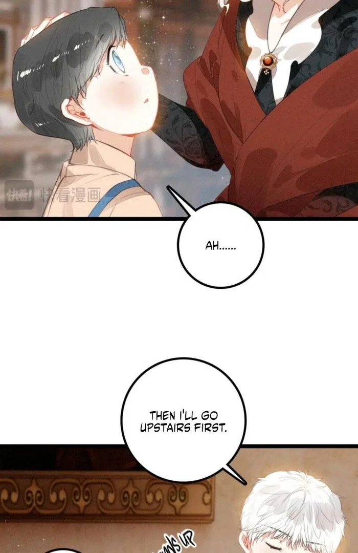 After Becoming a Dumpling, the Villain Family All Wants to Kill Me! Chapter 35 – Page 34