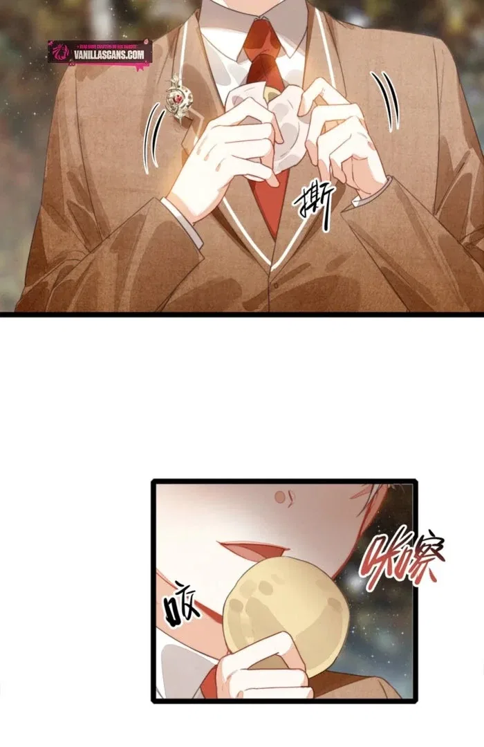 After Becoming a Dumpling, the Villain Family All Wants to Kill Me! Chapter 33 – Page 12