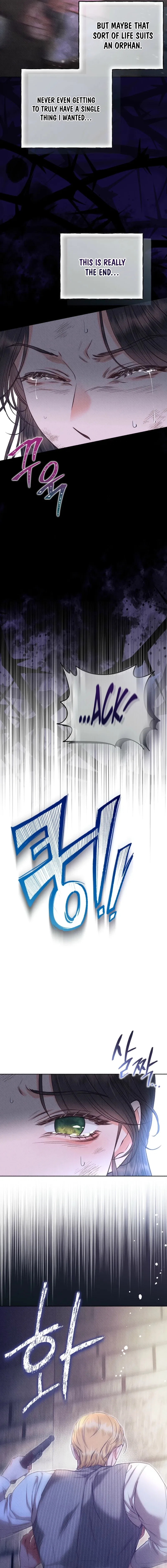 Dear My Rude Darling With Multiple Personality Chapter 49 – Page 17