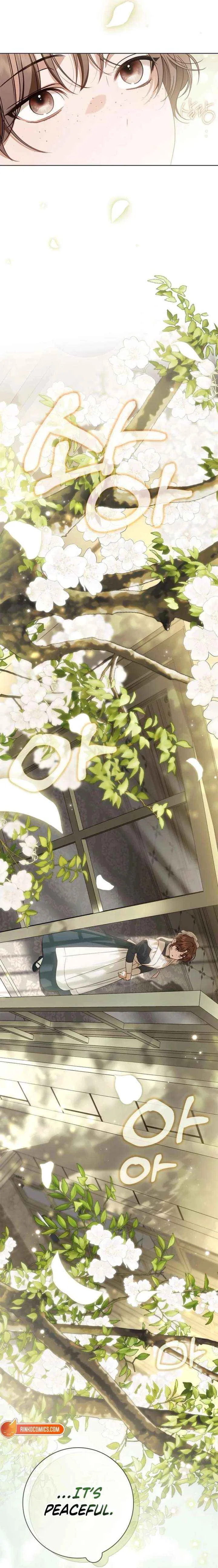 The Count’s Secret Maid Chapter 81 – Page 2