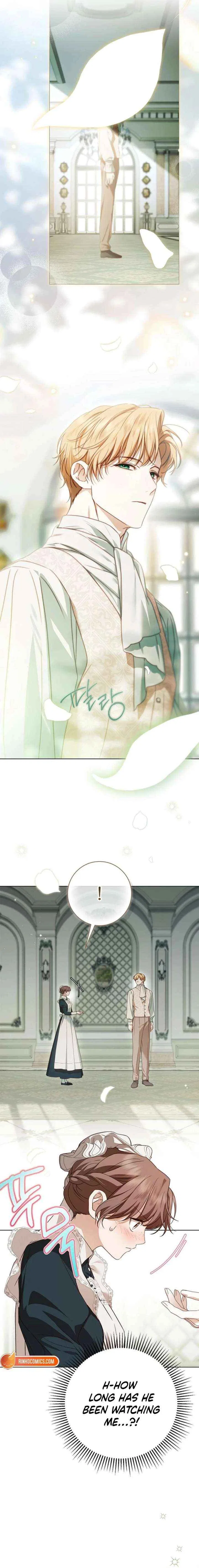 The Count’s Secret Maid Chapter 81 – Page 4
